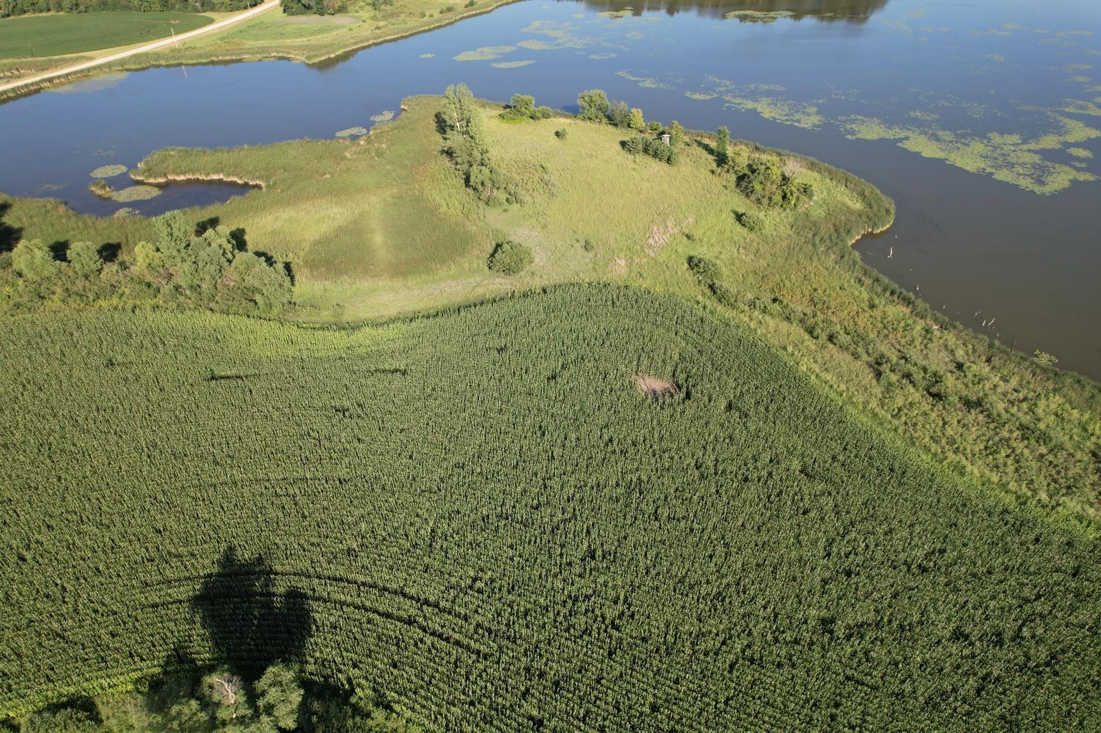 dji_fly_20240802_181328_615_1722646206367_photo copy.jpg