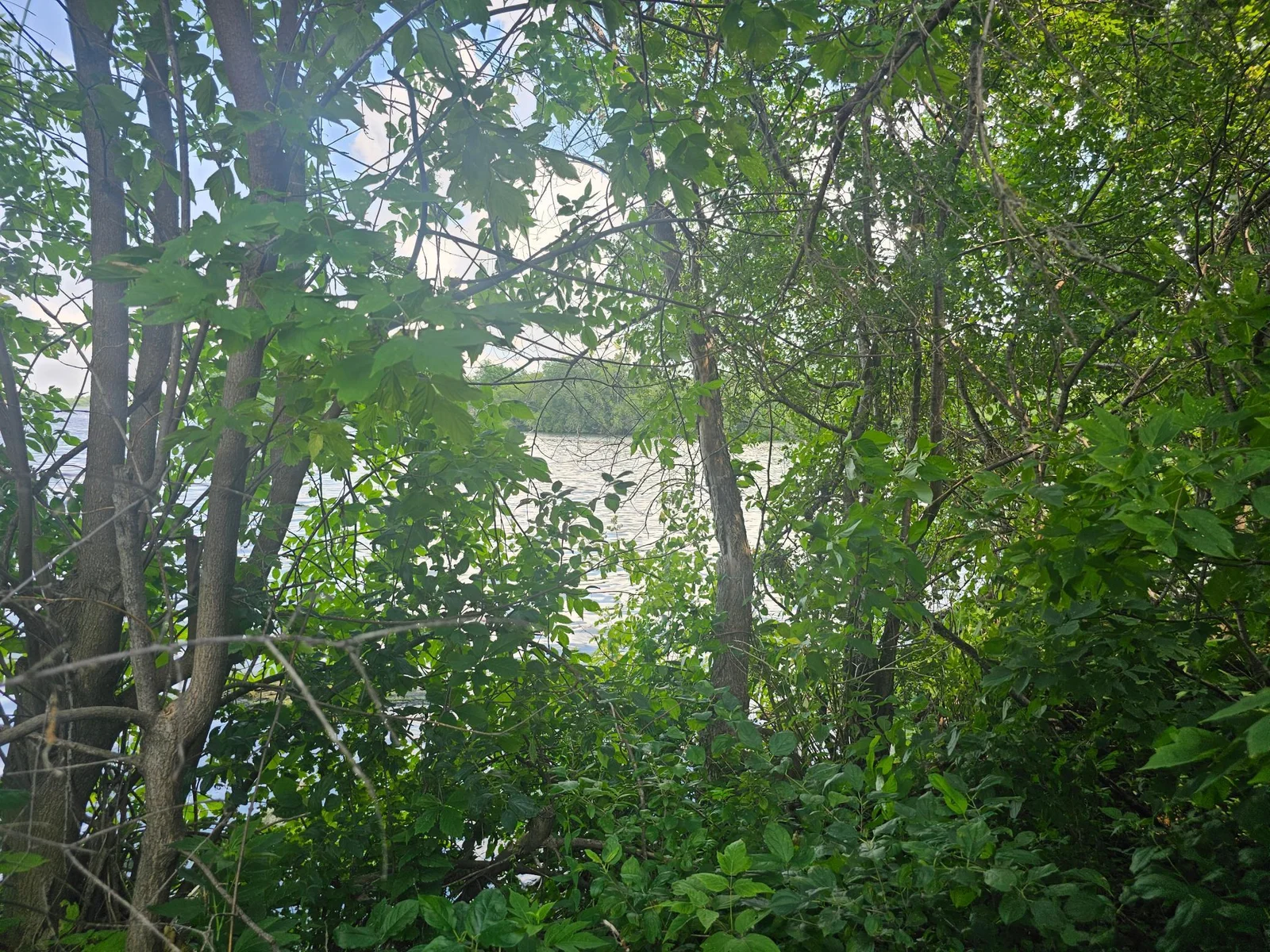 20 Ft Shoreline