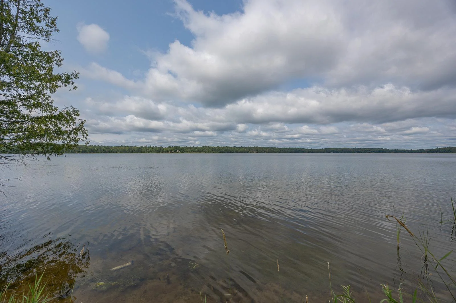 Lake views!