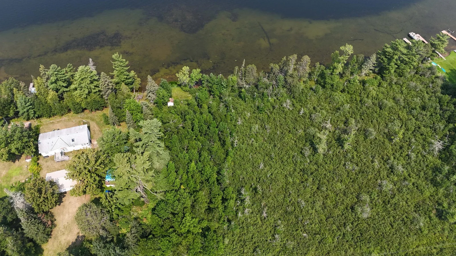 Aerial view of the property.