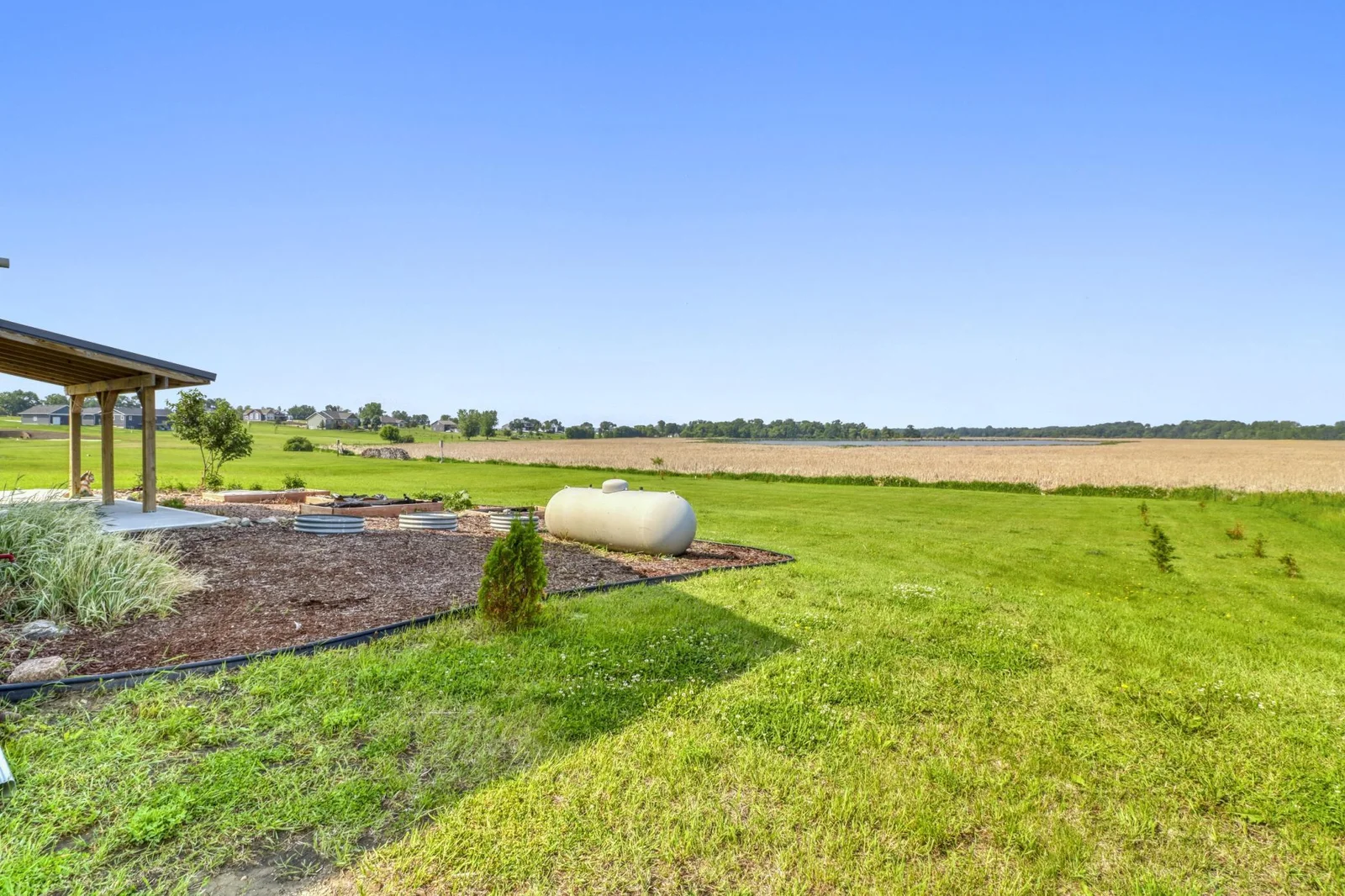 Backyard1_7.JPG