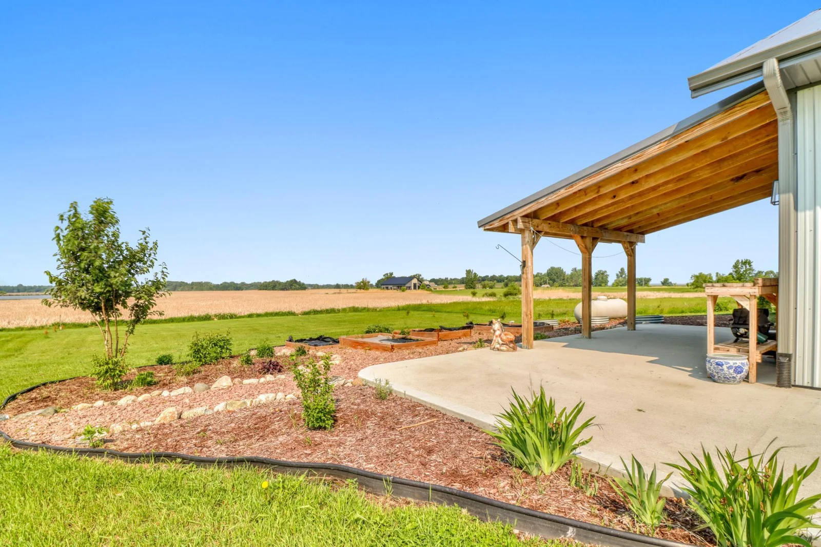 Backyard1_1.JPG