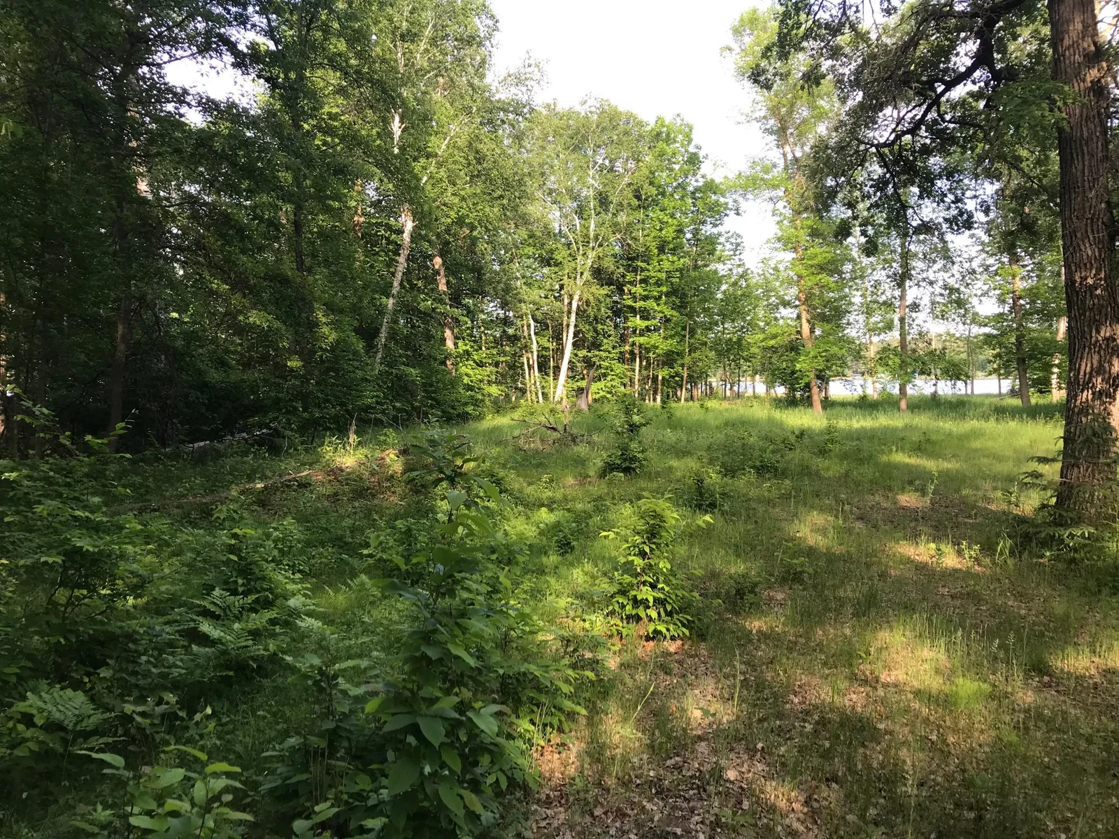 Lt Side of Property