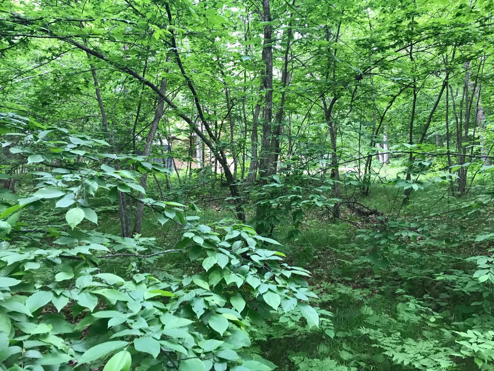 Towards Neighbors From Potential Build Site