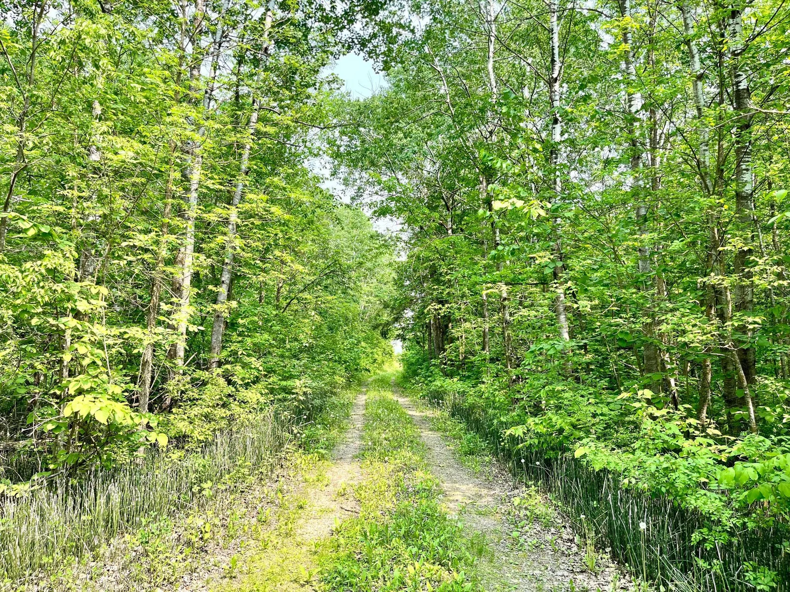 DRIVEWAY FROM ROAD