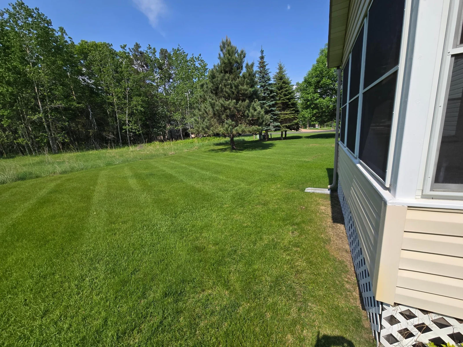 Natural Spacious Yard & Forest