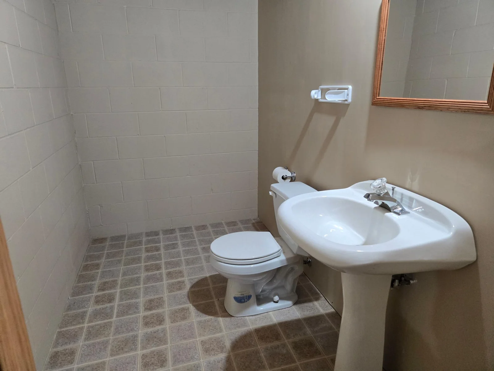 Lower Level Bathroom