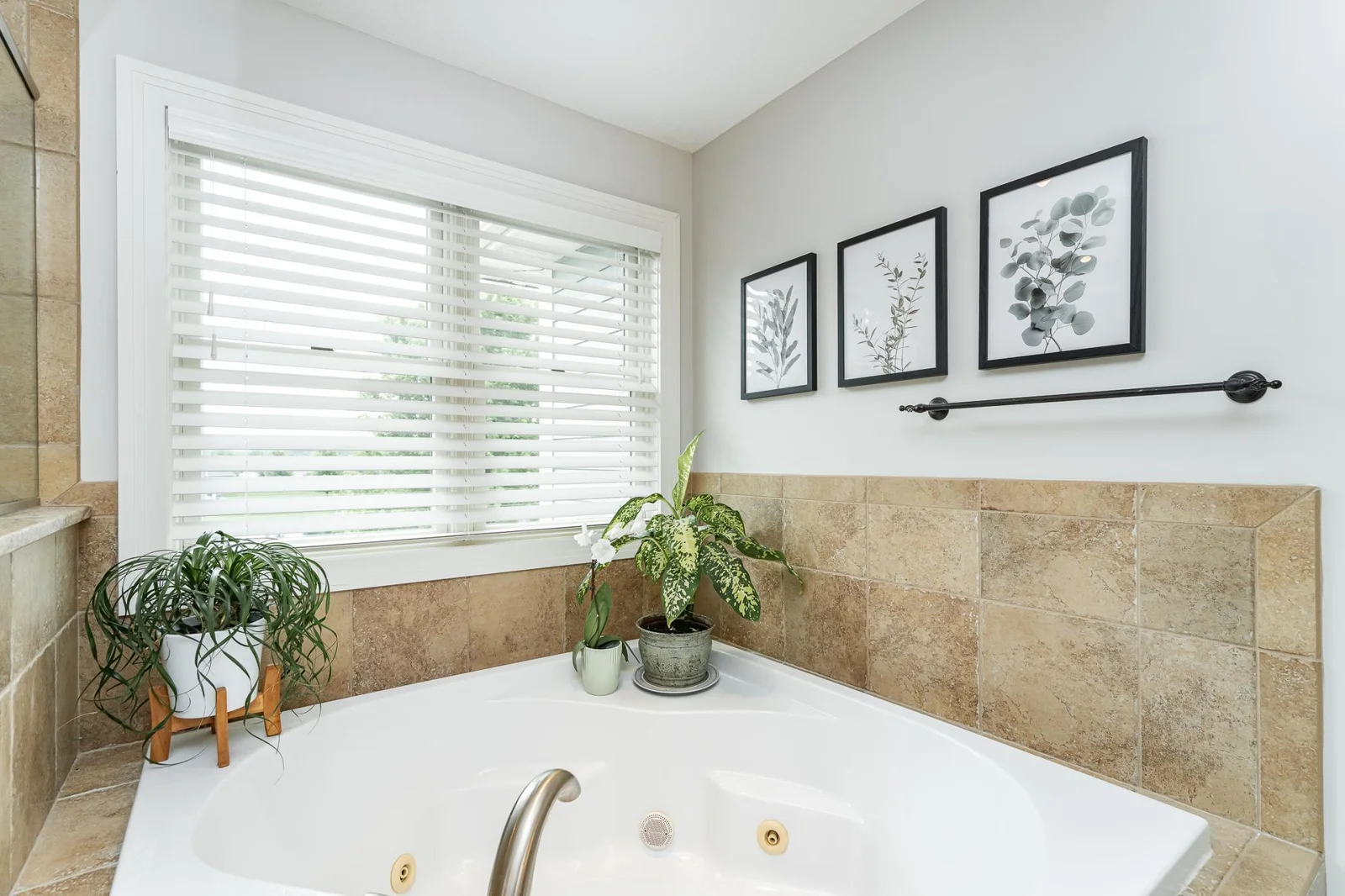Jetted Tub