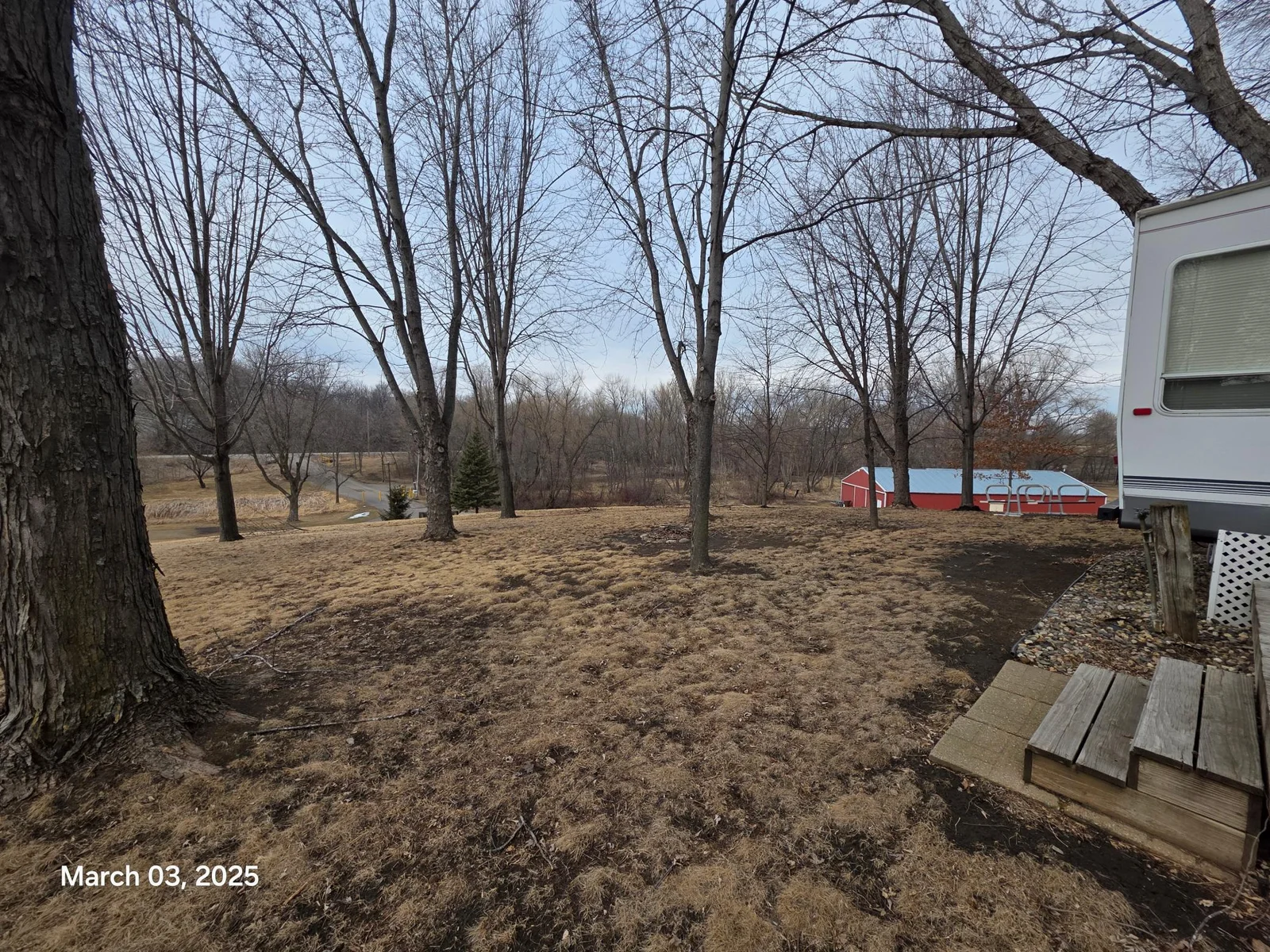 20250303_131249.jpg