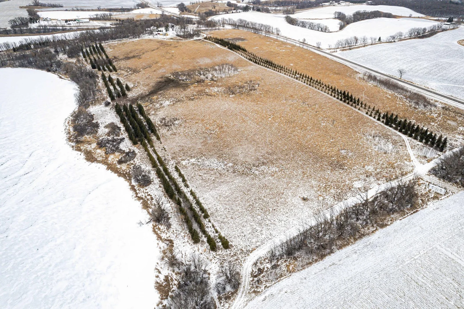 Lot Next to 33841 Co Rd 10 Ashby-308.jpg