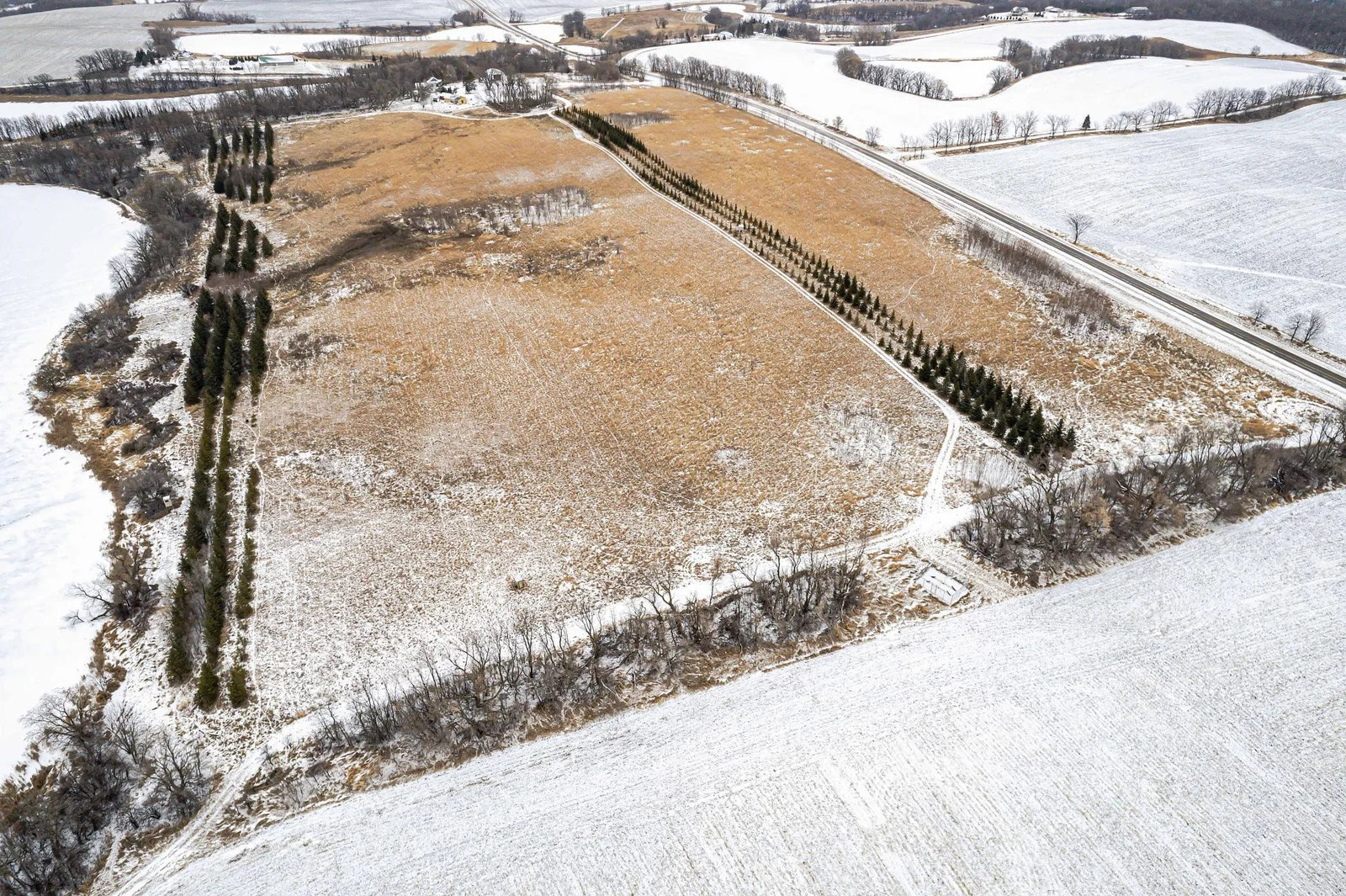 Lot Next to 33841 Co Rd 10 Ashby-307.jpg