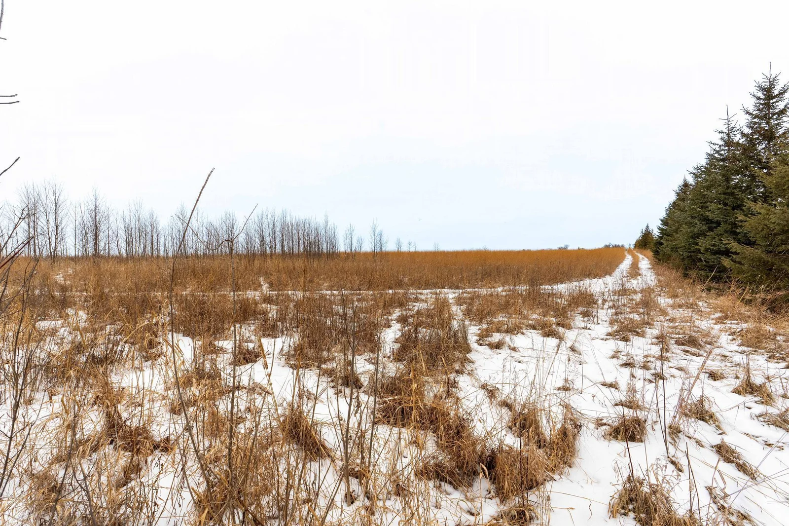 Lot Next to 33841 Co Rd 10 Ashby-104.jpg