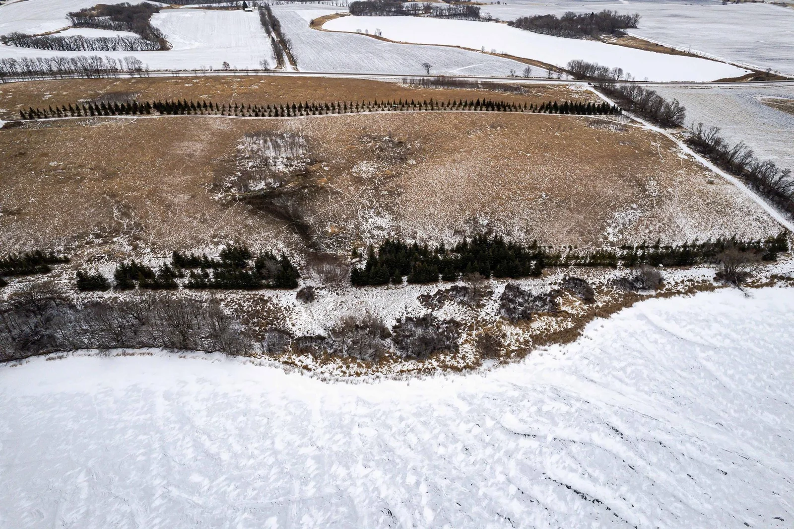 Lot Next to 33841 Co Rd 10 Ashby-312.jpg