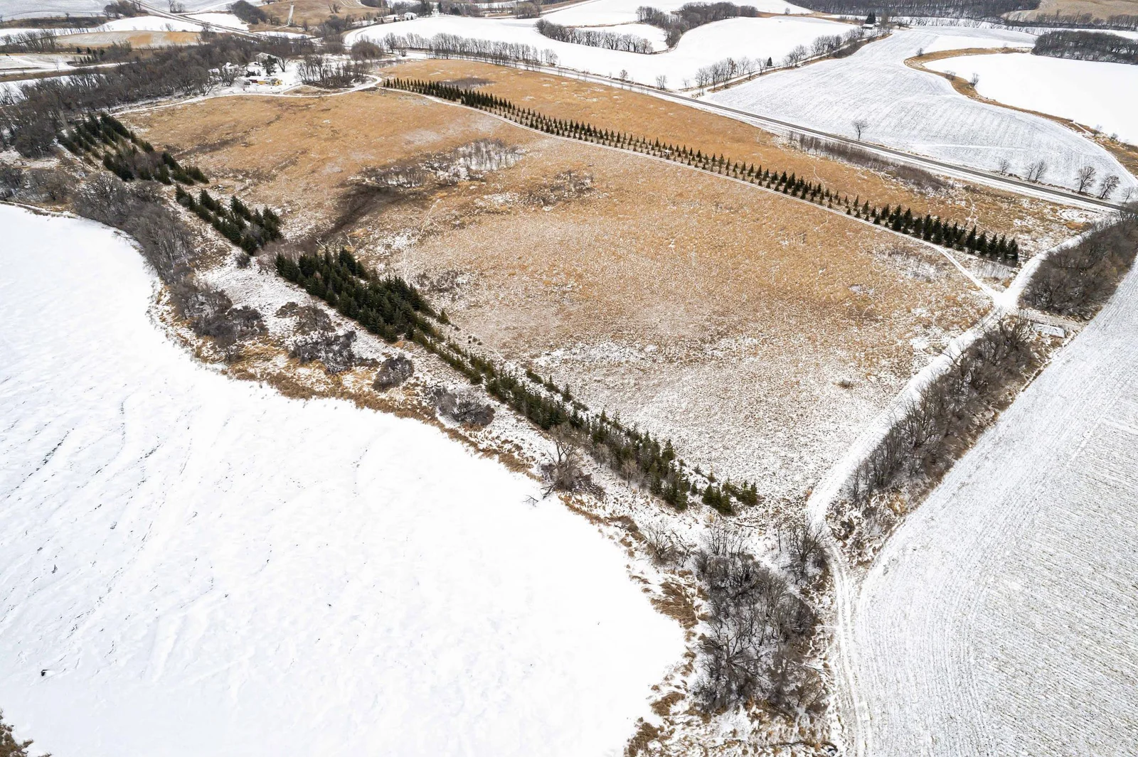 Lot Next to 33841 Co Rd 10 Ashby-309.jpg