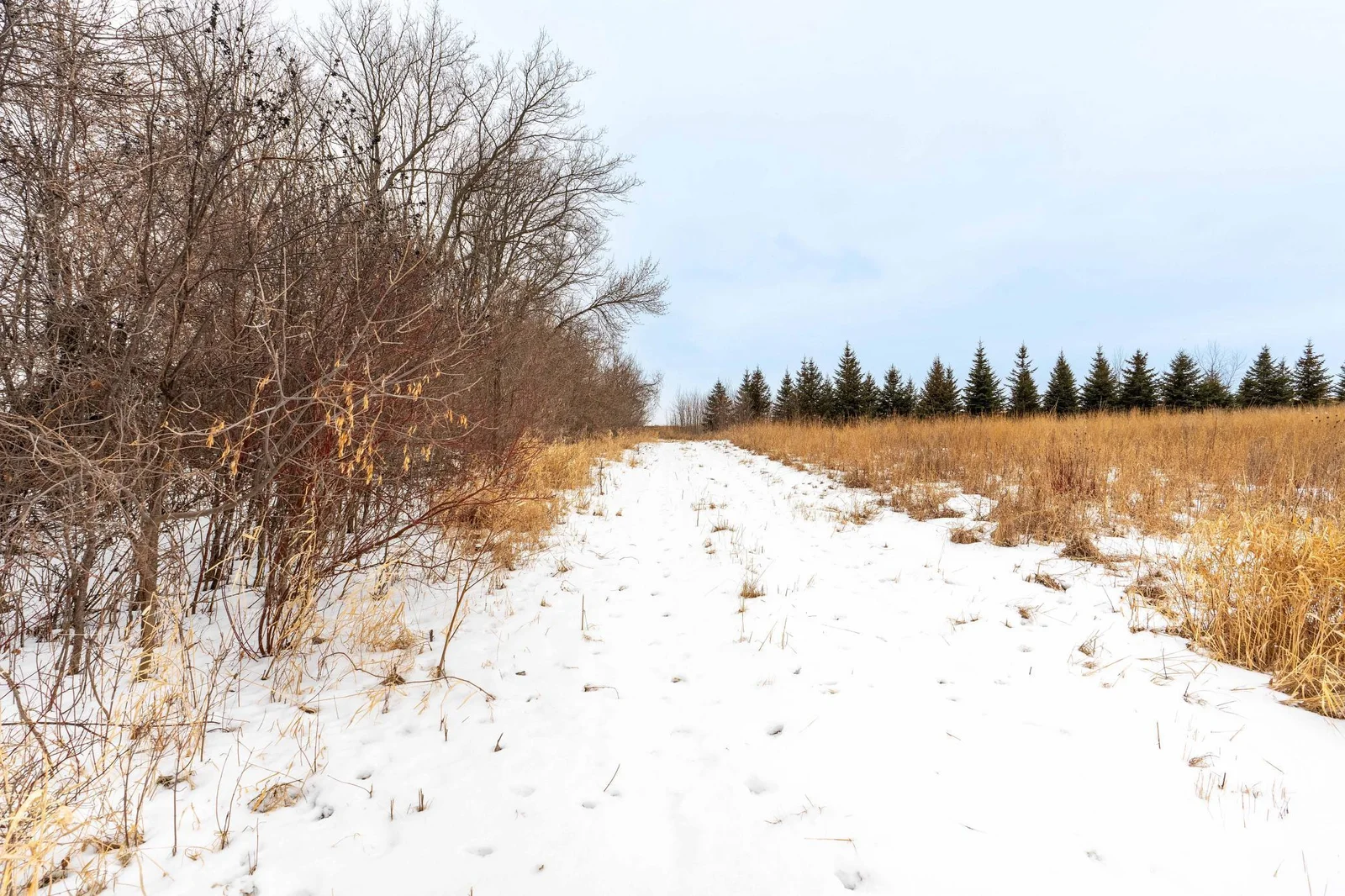 Lot Next to 33841 Co Rd 10 Ashby-102.jpg