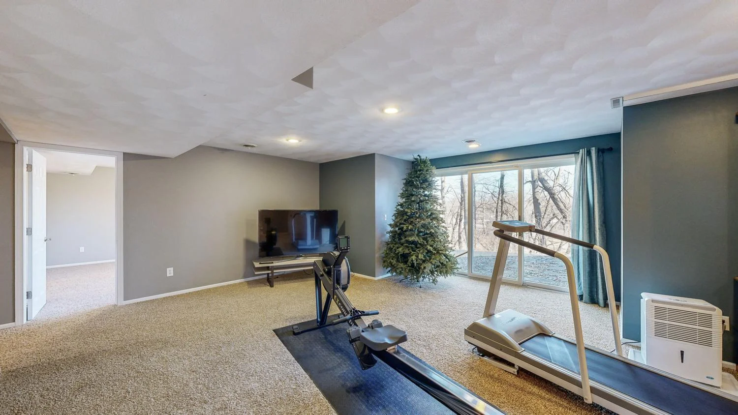 Walkout & family room