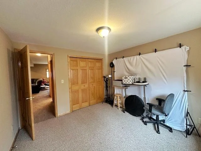 Lower level bedroom
