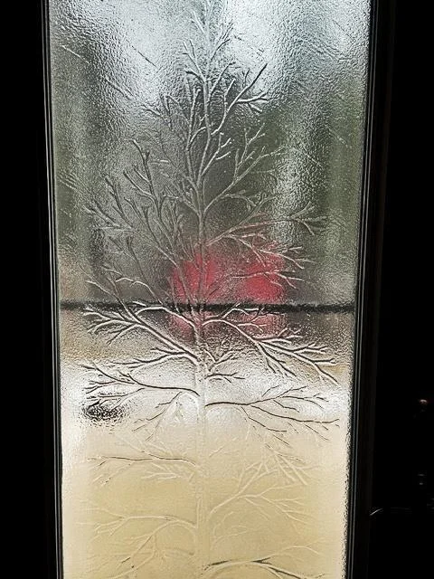 Gorgeous glass door that leads from dining rm to back yard