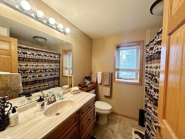 Lower level bathroom