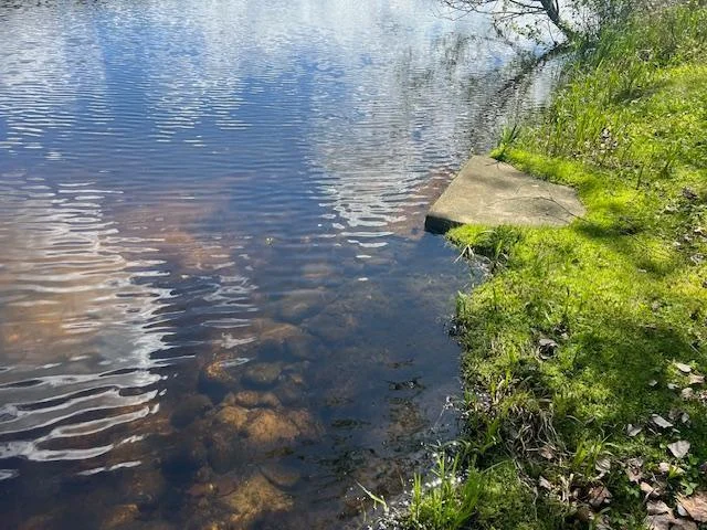 Shoreline