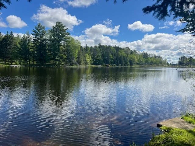 Lake view