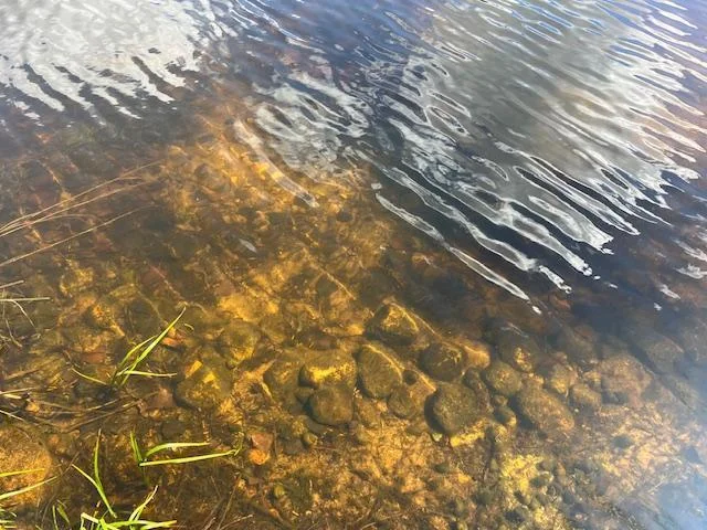 Shoreline