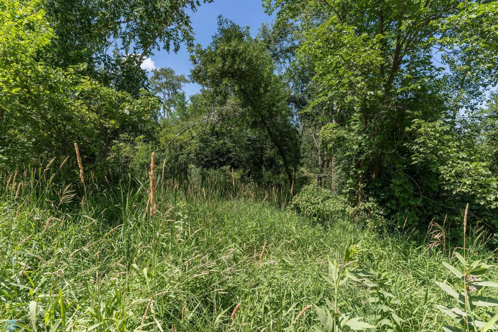 30769 200th St-314.jpg
