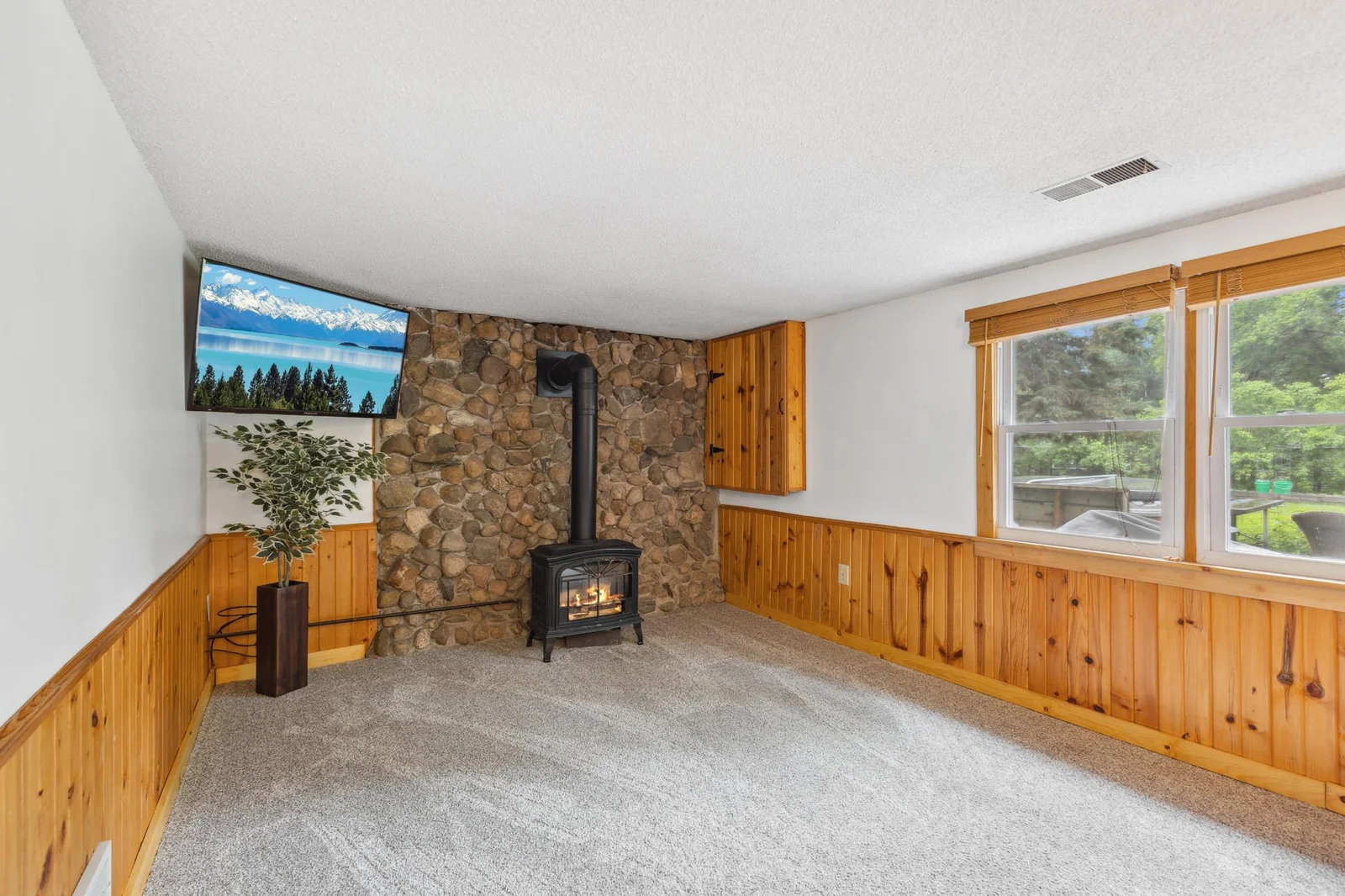 Lower level has a free standing gas fireplace.