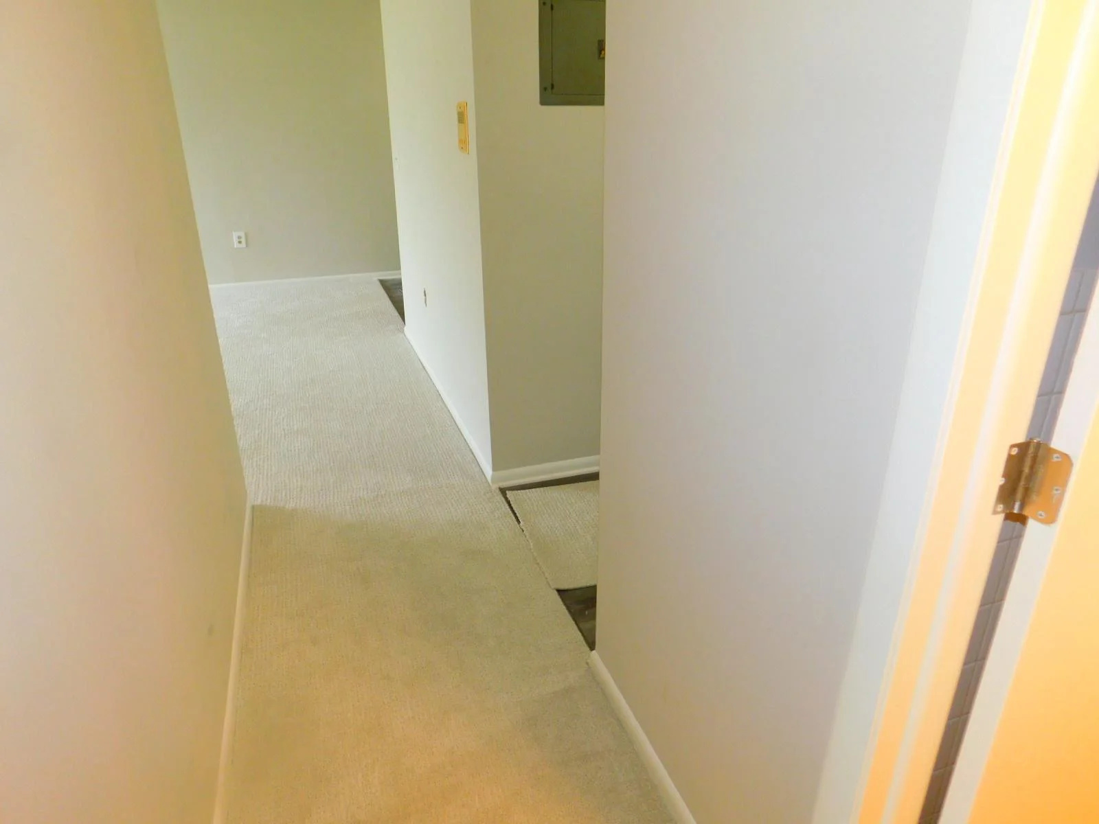 DSCN1657.JPG
