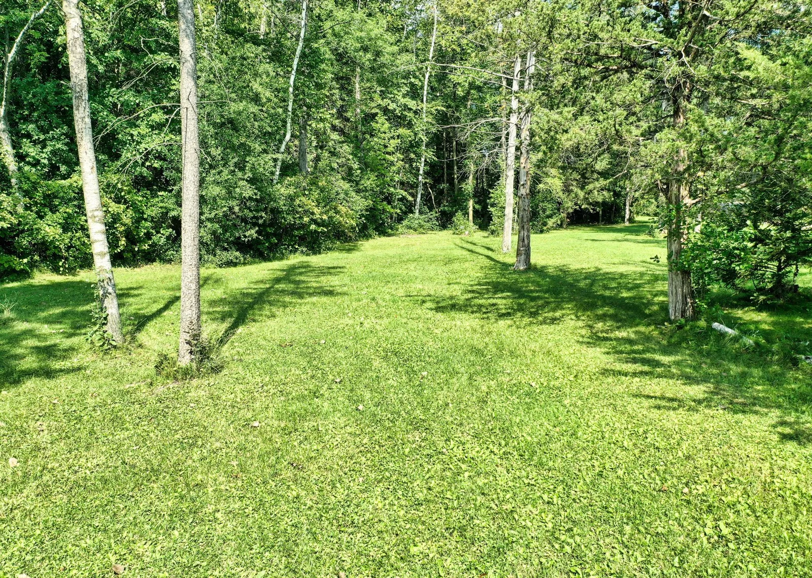 DJI_0168.jpg