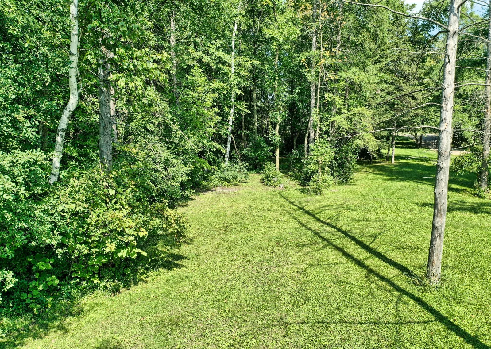 DJI_0173.jpg
