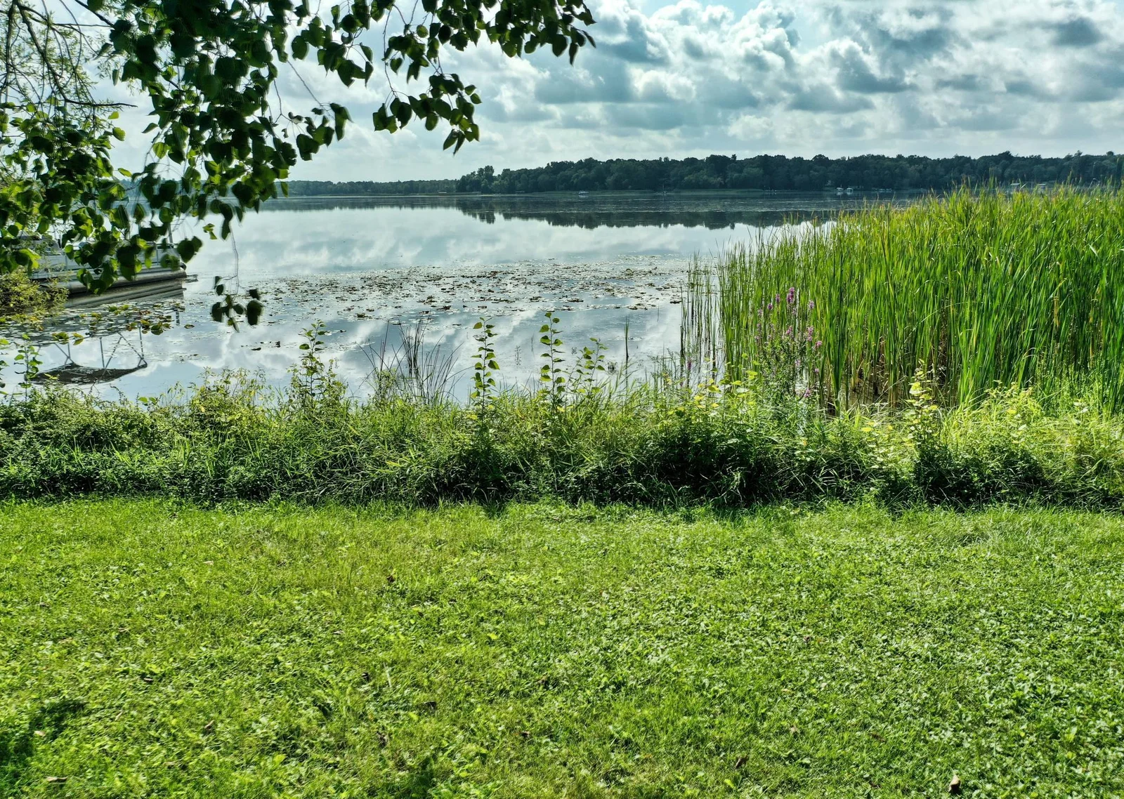 DJI_0163.jpg
