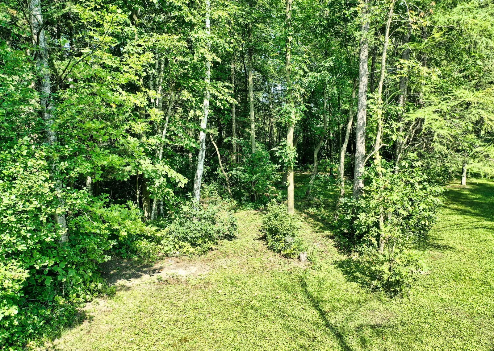 DJI_0178.jpg
