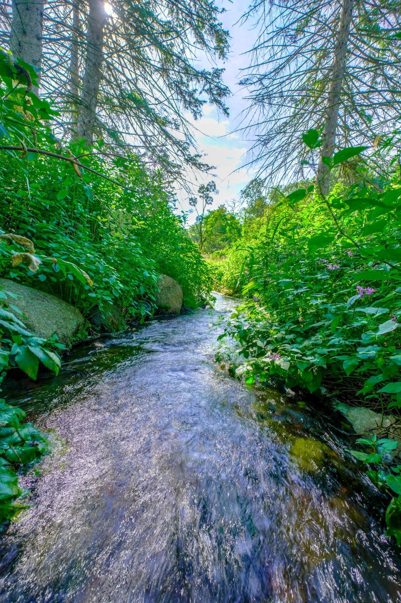 13645 Valley Creek Trail Sunshine-54.jpg