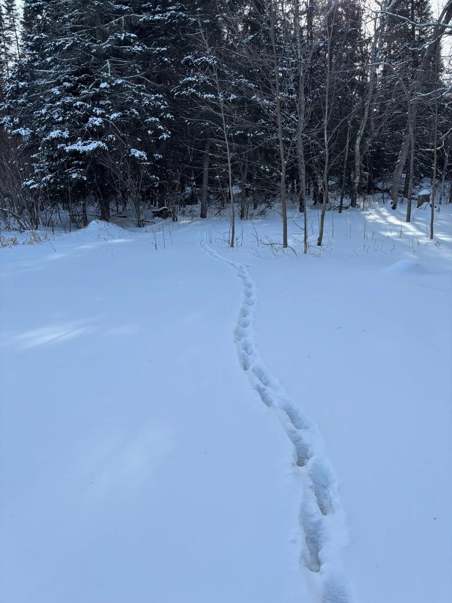 Deer Trail
