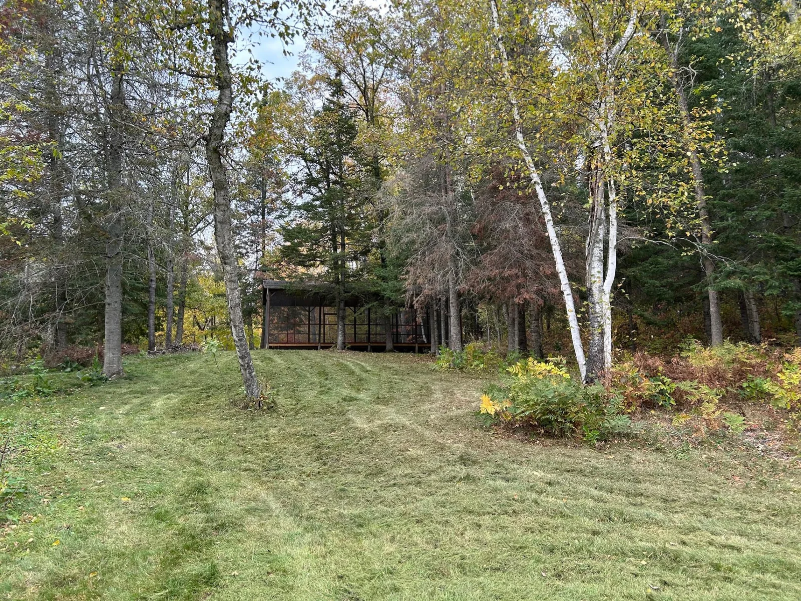 View From Lake