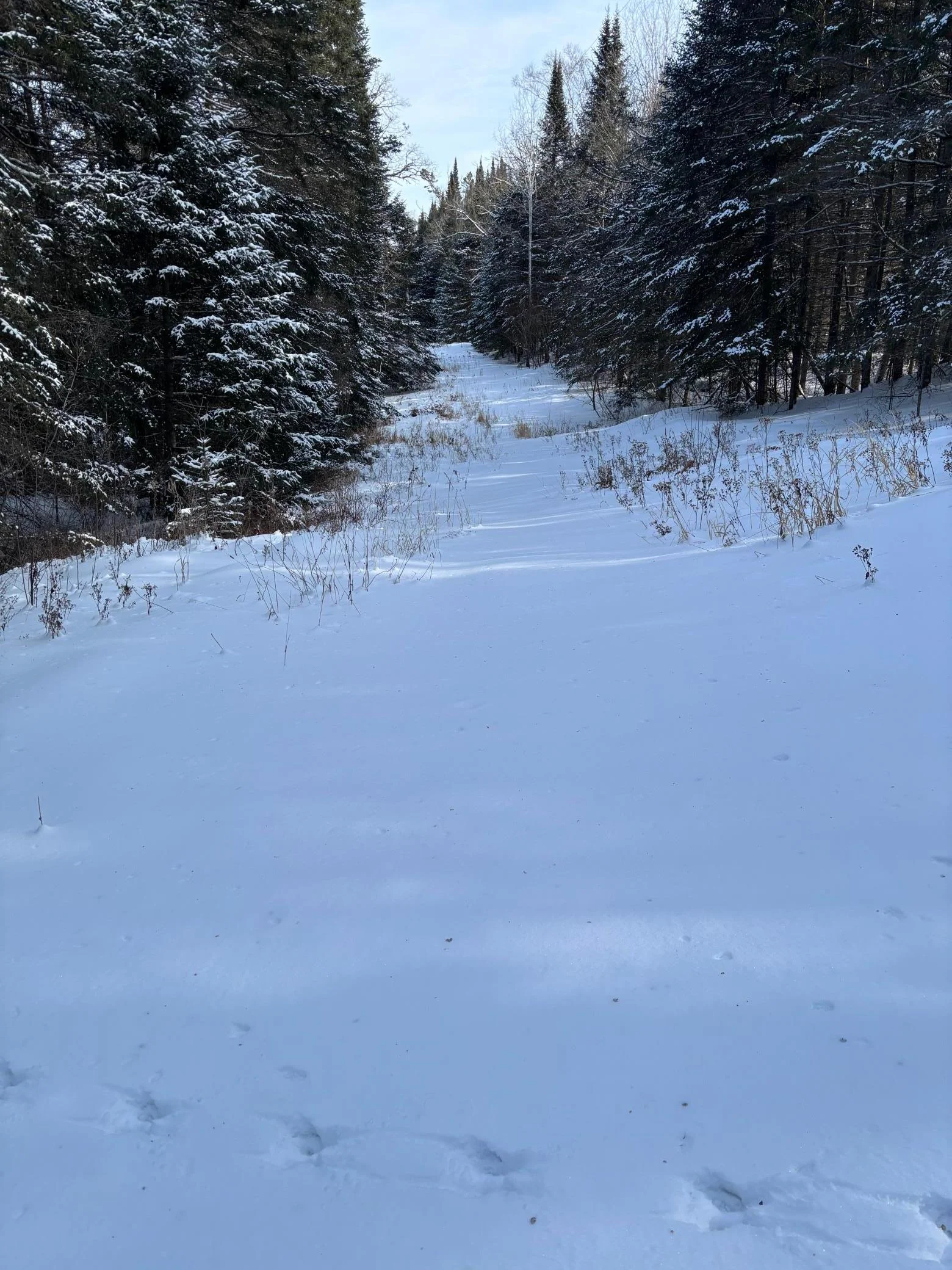From Property to Public Land