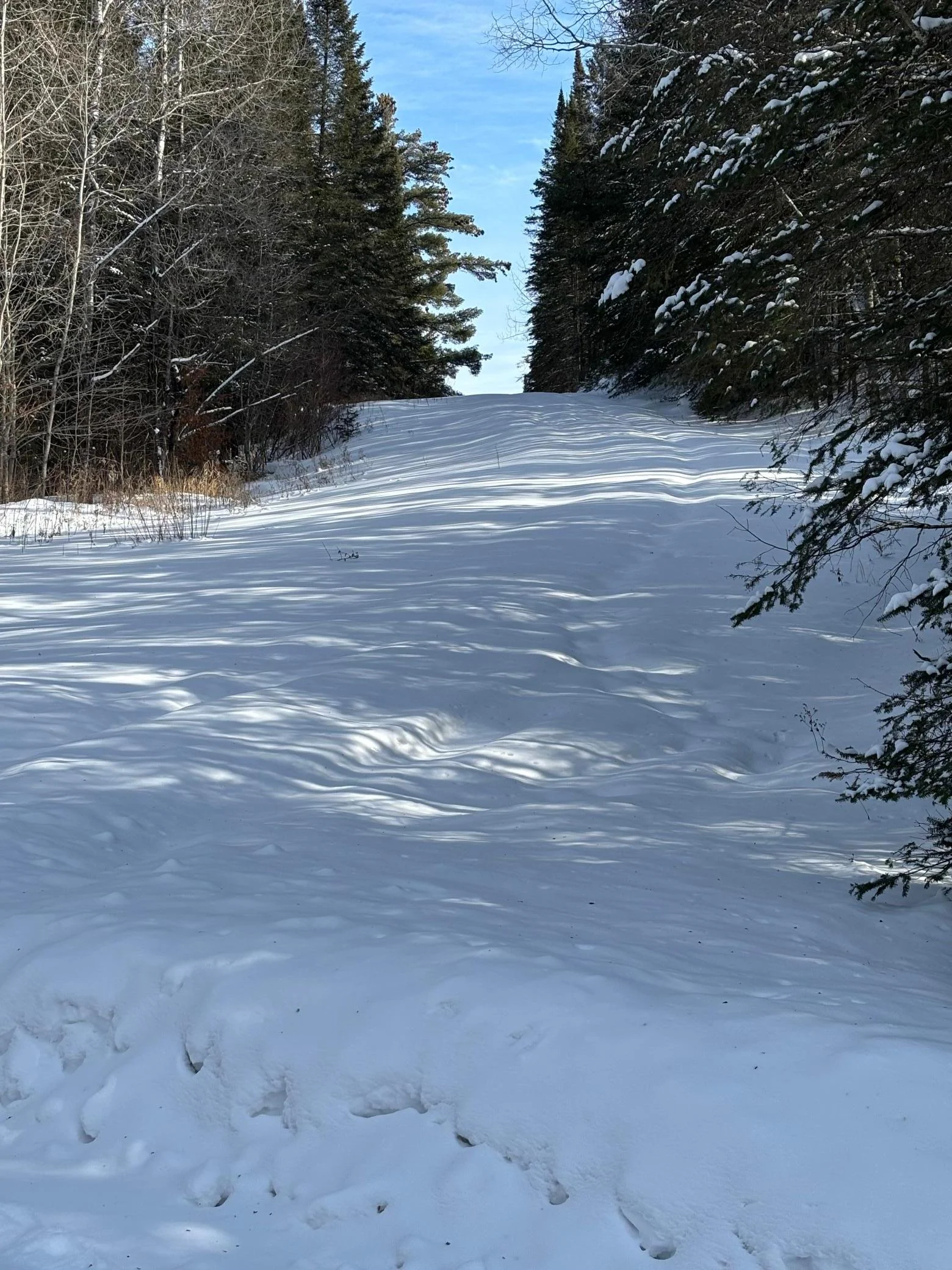 Drive way/Electrical Easement