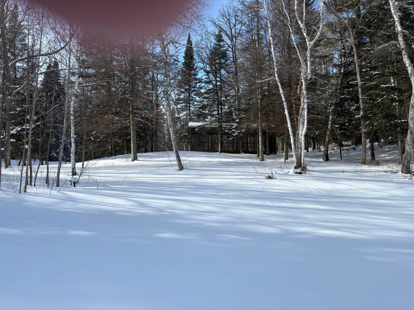 View From Lake