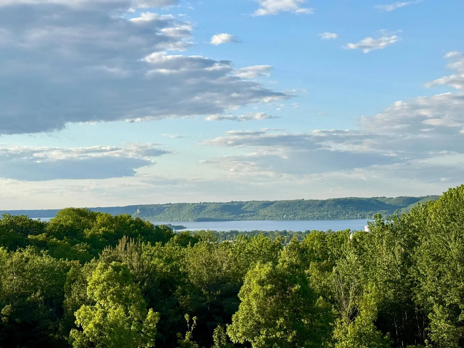 lake View.jpg