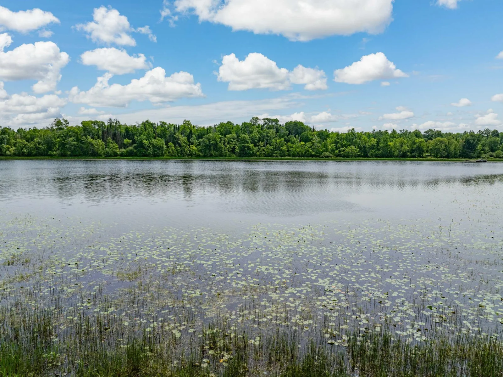 DJI_20250611123220_0370_D-Edit.jpg