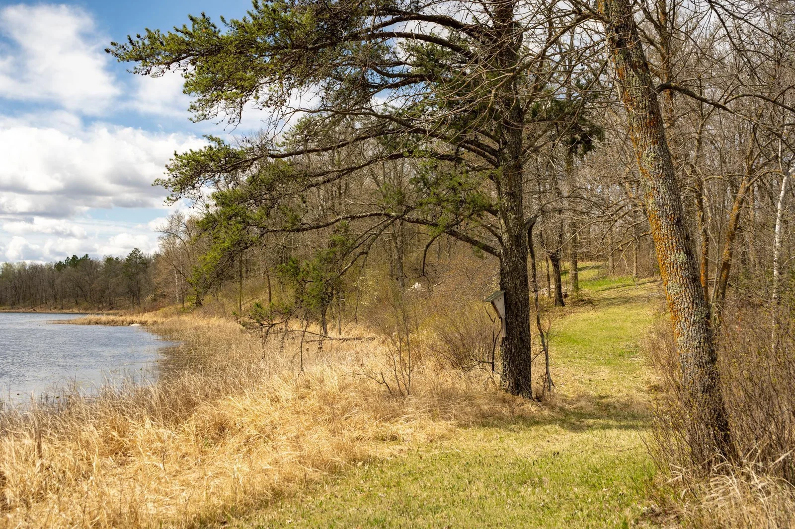 Little Mantrap spring 24 ground-5.jpg
