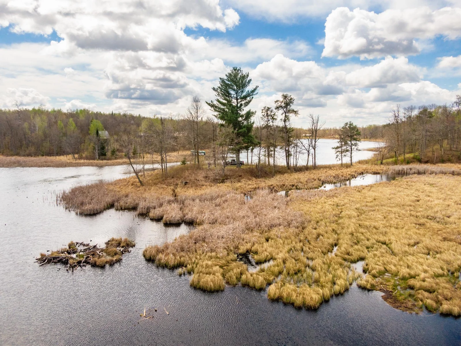 Little Mantrap spring 24 update Park Rapids-32.jpg