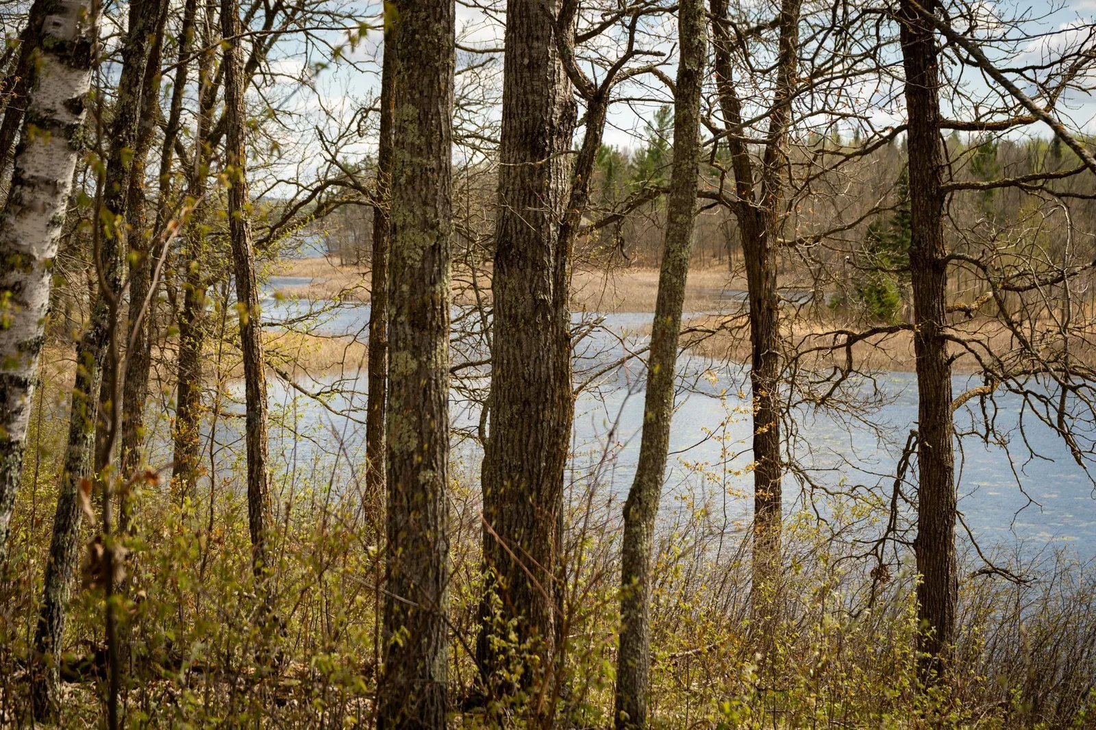 Little Mantrap spring 24 ground-3.jpg