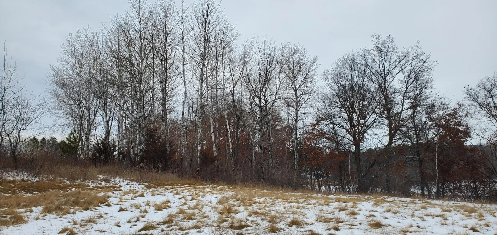 Thumbnail photo 11