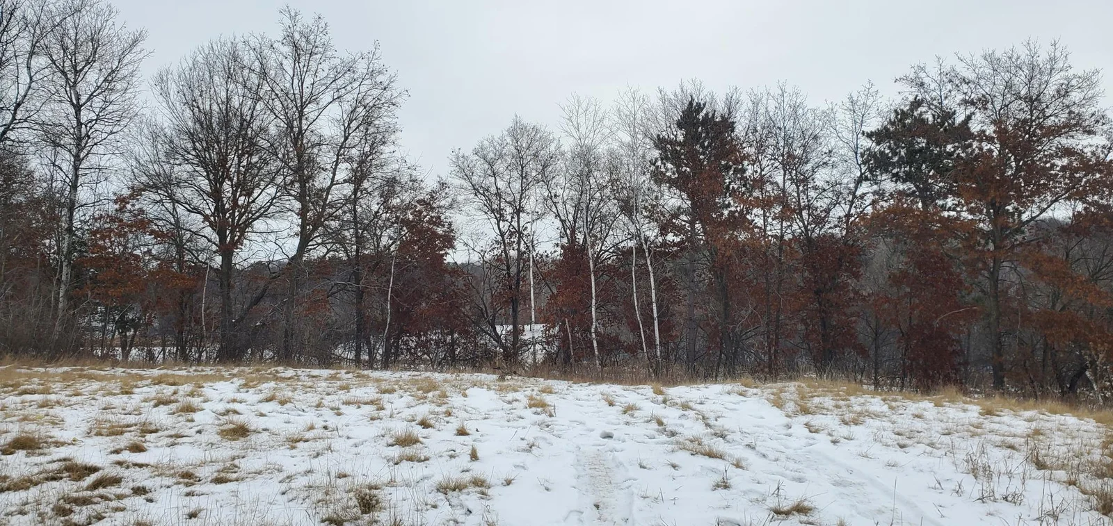 Thumbnail photo 10