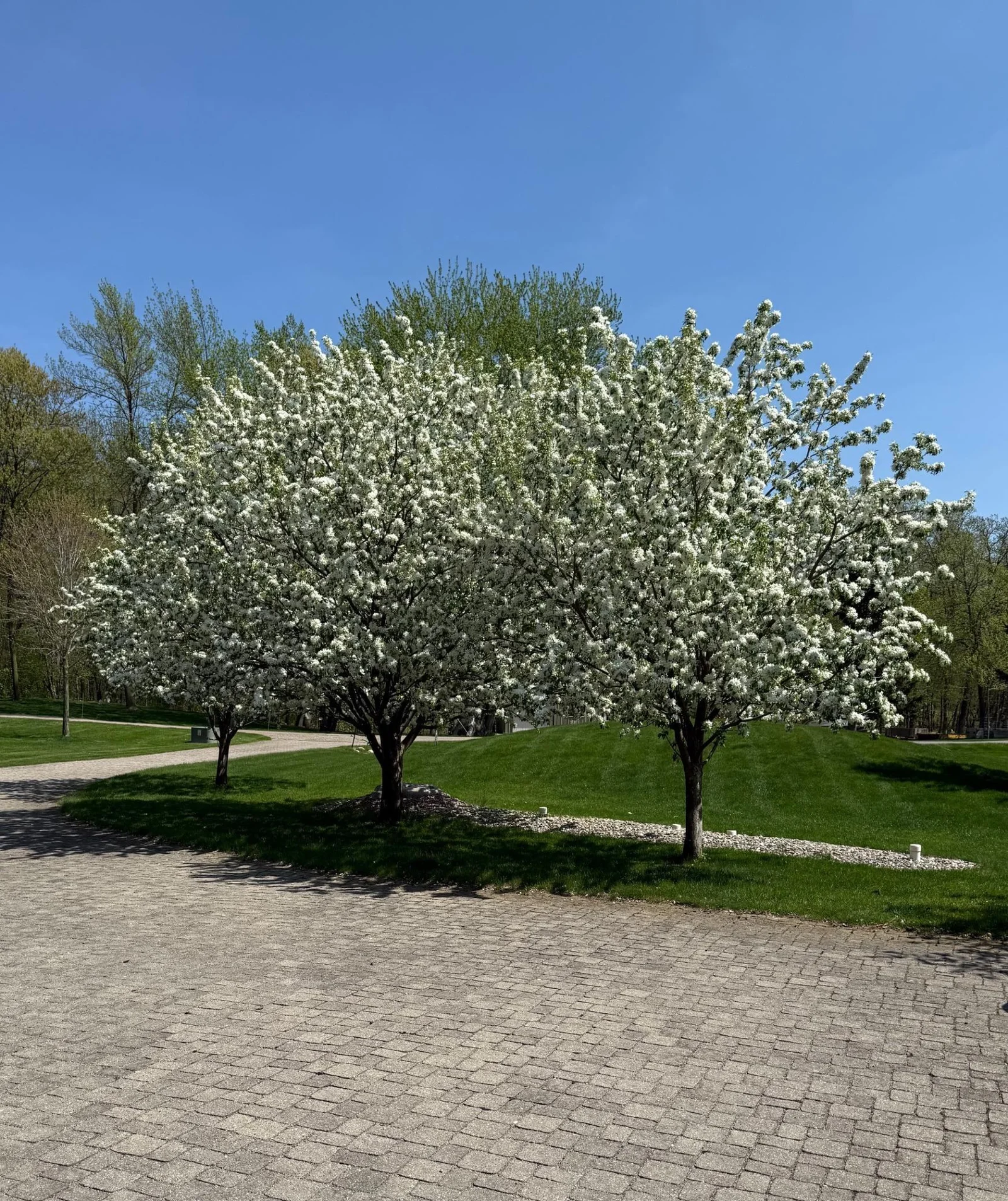 Spring 2025