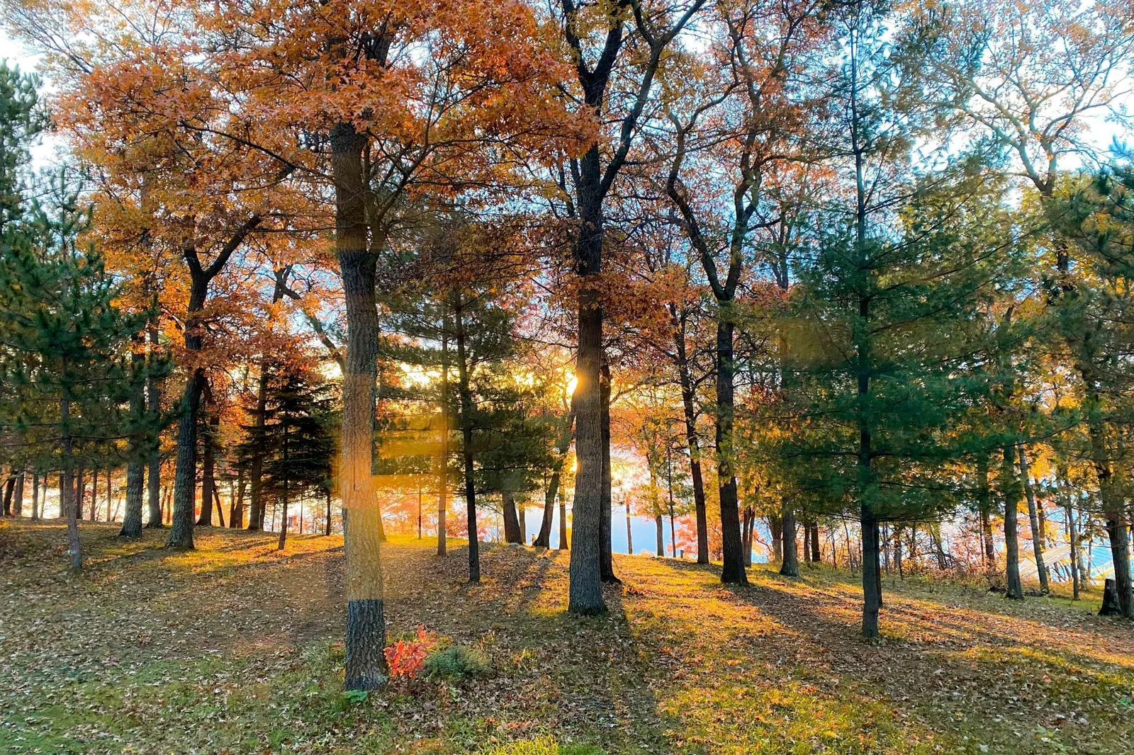 Beautiful Fall Photo