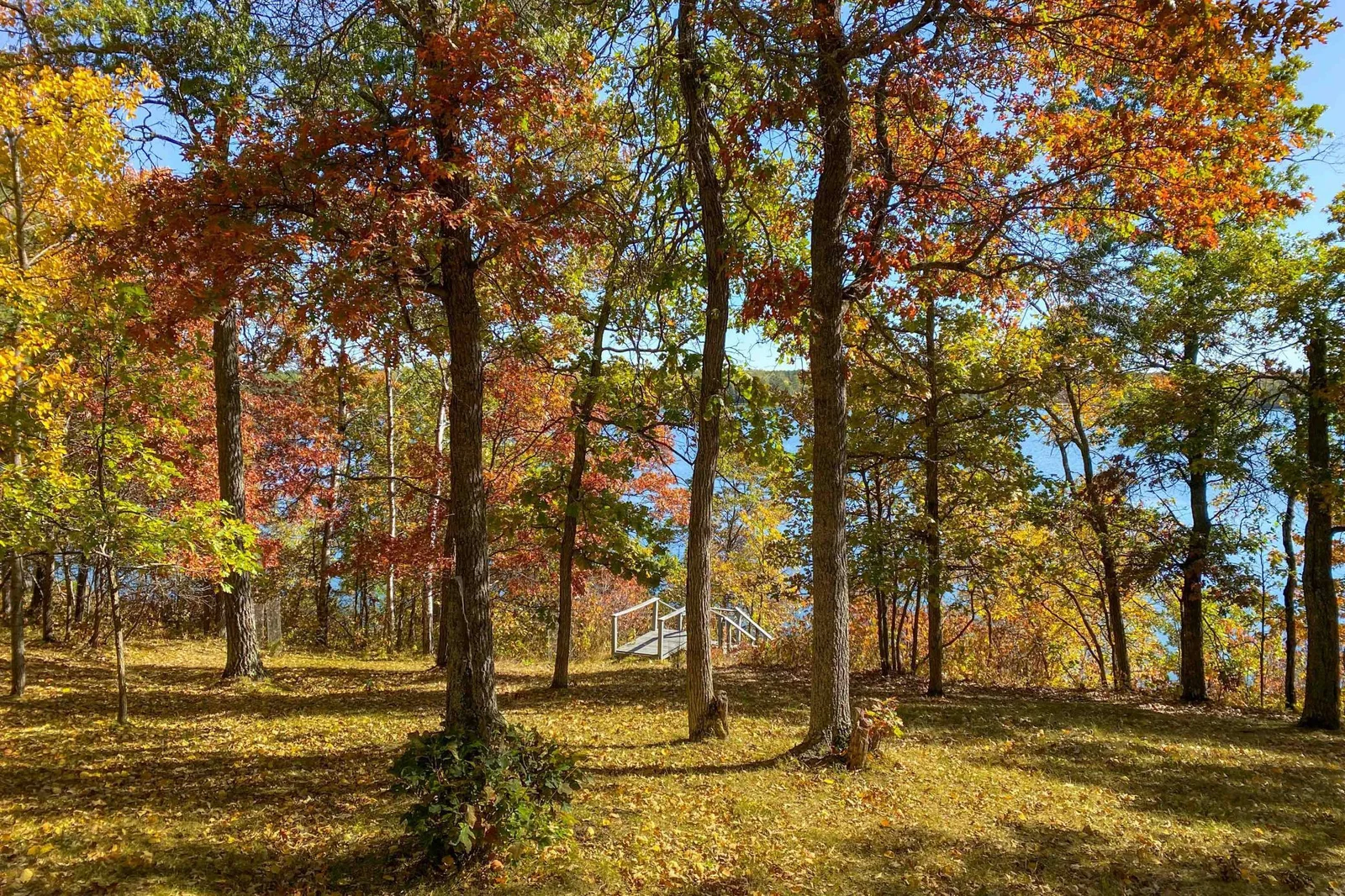 Autumn