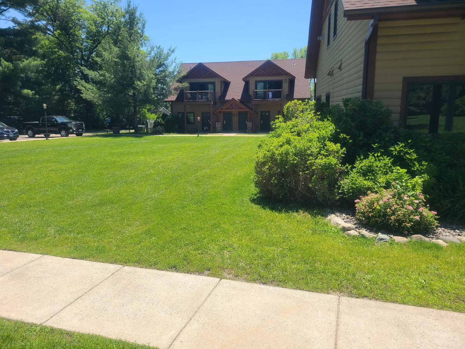 Side yard.jpg